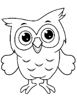 Owl - Wixie